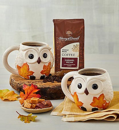 Fall Owl Mug Duo with Coffee
